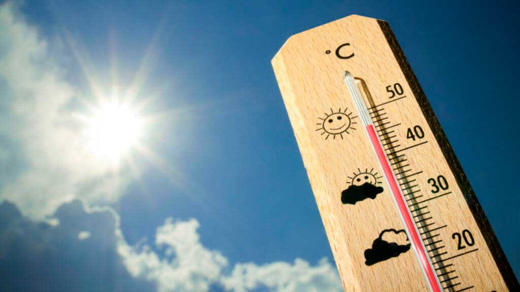 Как помочь своему организму справиться с жарой