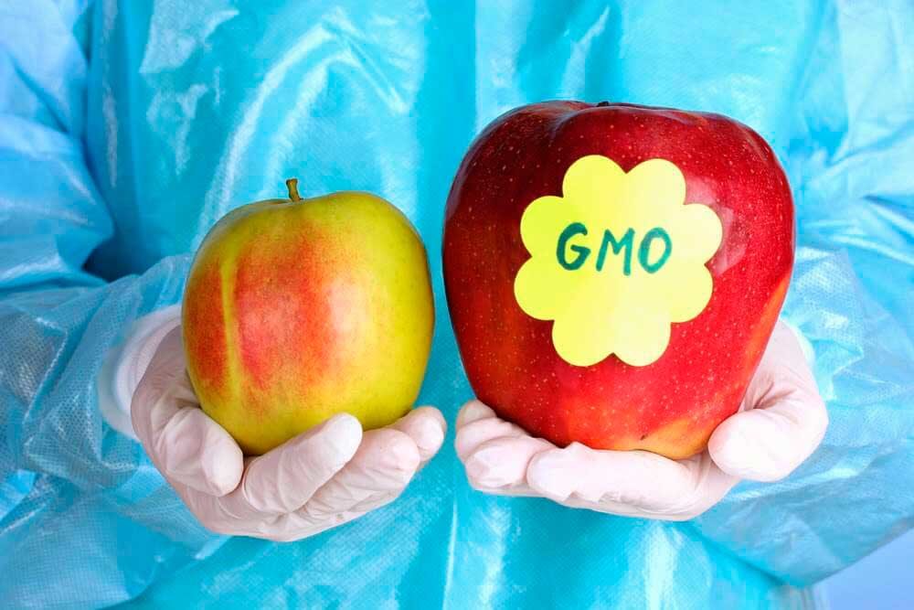5 мифов о продуктах, содержащих ГМО, вредны ли они для человека